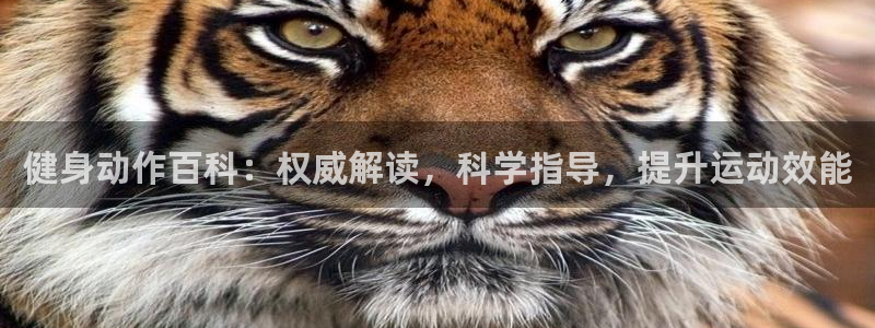 qy球友会手机版